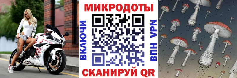 Псилоцибиновые грибы прущие грибы ссылка на мегу как войти Харабали